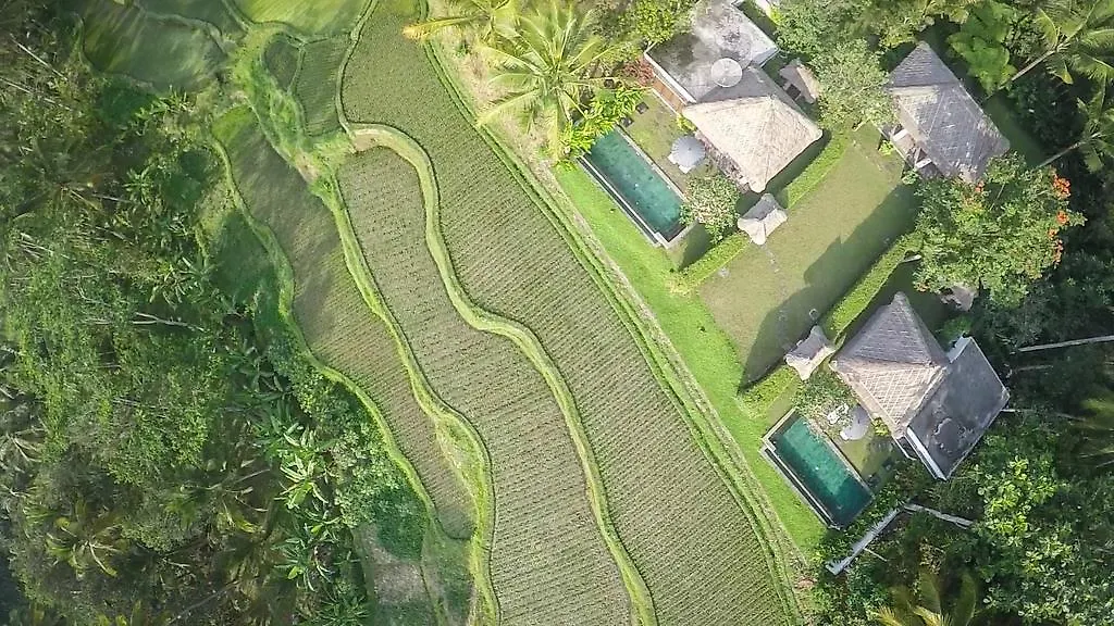 Bali Jiwa Villa Ubud